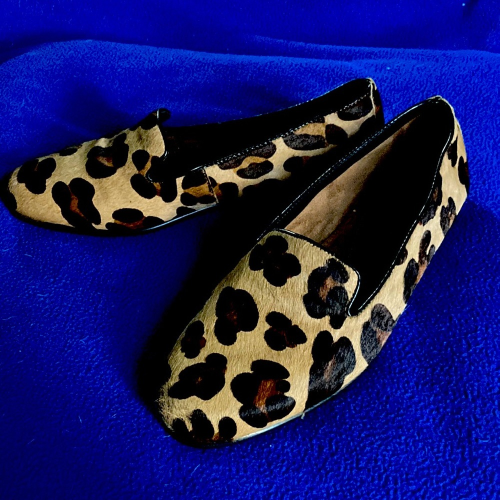 Aerosoles Betunia.